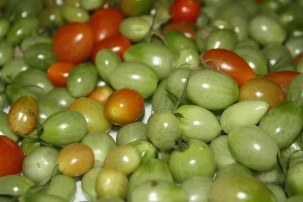 Yeşil Tamatillo ve Kırmızı Domates