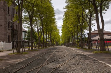 Japonya 'nın dağlık kuzey adası Hokkaido' nun başkenti olan Sapporo, bira, kayak ve dev buz heykellerinin yer aldığı yıllık Sapporo Kar Festivali ile ünlüdür..