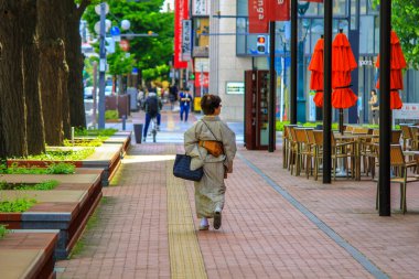 Japonya 'nın dağlık kuzey adası Hokkaido' nun başkenti olan Sapporo, bira, kayak ve dev buz heykellerinin yer aldığı yıllık Sapporo Kar Festivali ile ünlüdür..