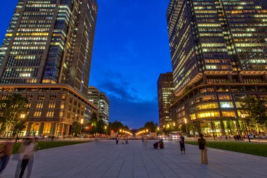 Tokyo İstasyonu, Chiyoda City, Tokyo, Japonya 'da bulunan bir tren istasyonudur. Orijinal istasyon Chiyoda 'nın Marunouchi iş bölgesinde, İmparatorluk Sarayı' nın yanında yer almaktadır. 19 Haziran 2018