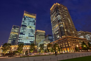 Tokyo İstasyonu, Chiyoda City, Tokyo, Japonya 'da bulunan bir tren istasyonudur. Orijinal istasyon Chiyoda 'nın Marunouchi iş bölgesinde, İmparatorluk Sarayı' nın yanında yer almaktadır. 19 Haziran 2018