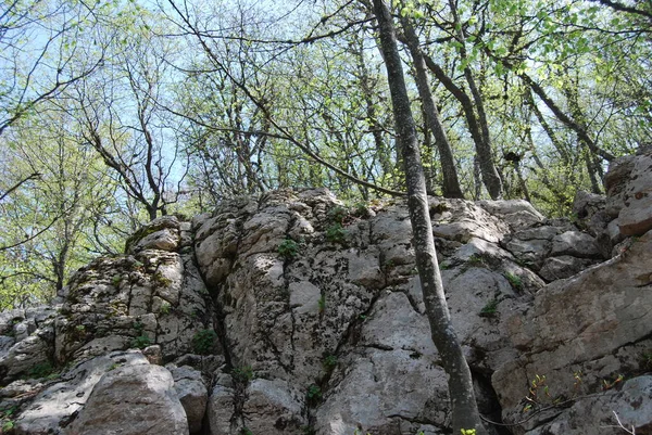 Rock manzarası. Kırım yarımadası..