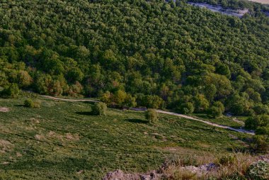 Yol, kısa çimenler ve ağaçlardan oluşan bir düzlükle açık bir alanı ayırıyor. Ovanın tepesinden güzel bir manzara var. Göze hoş gelen güzel, kıvırcık ağaçlardan oluşan taçlar..