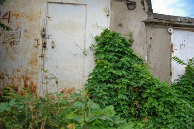 Kapı sarmaşıkla kaplanmış. Terk edilmiş bir garaj. Uzun zamandır ziyaret edilmemiş..