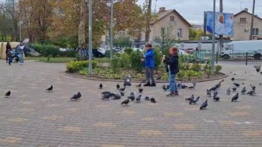 Çocuklar parkta güvercinleri besler. Odessa 'nın Zafer Parkı' nda çocuklar büyük bir güvercin sürüsünü besler..