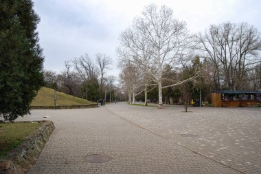 Odessa halk parkı. Odessa 'daki Shevchenko Parkı' ndaki kaldırım taşları boyunca yürüyen çok sayıda ağaç ve insan var..