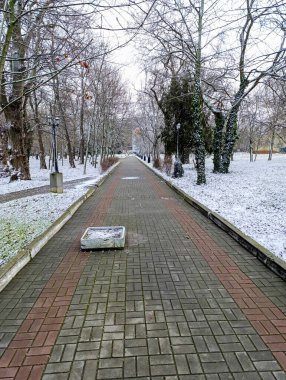 Winter Park sokağı. Kış sokağı kaldırım levhalarıyla döşenmiş..
