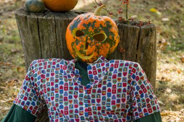 Cadılar bayramı balkabağı kafası bahçenin arka planında