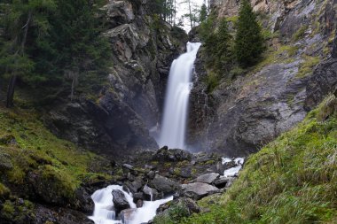 Ormanda şelale