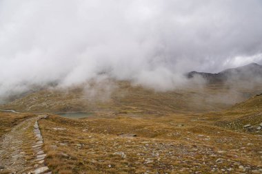 Arkasında bir dağ olan güzel bir manzara.