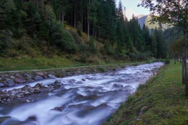 Nehrin ormandaki dikey görüntüsü.