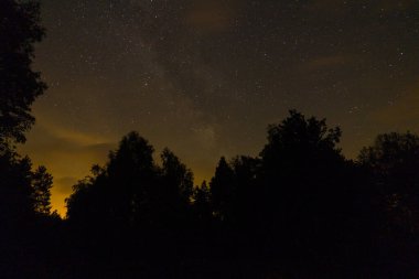 gece gökyüzü ormandaki