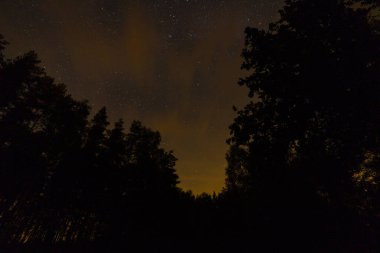gece gökyüzü ve yıldızlar