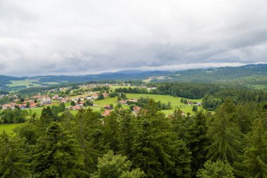 Arka planda ağaçlar ve tepelerle çevrili yeşil bir çayırın dikey görüntüsü.
