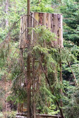 Karanlık gökyüzünde ay.