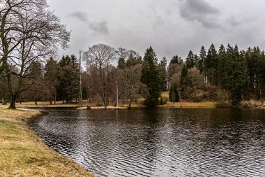 Parktaki gölün güzel manzarası