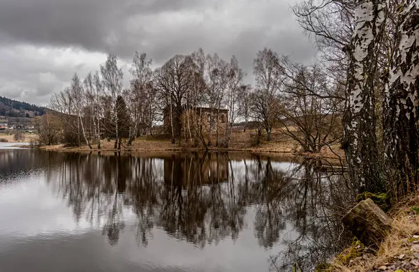 Parktaki gölün güzel manzarası