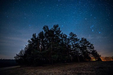 Gece gökyüzü ve yıldızlar, doğa, orman