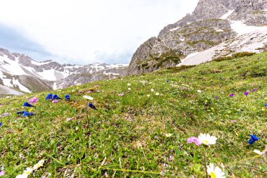 Dağların güzel manzarası