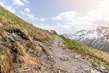 Kafkaslardaki dağ vadisinde patika
