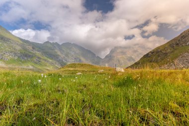 dağ gölü vadisinde.