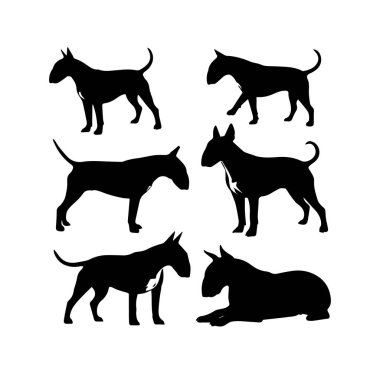 Siluet Katı Vektör Köpek Seti, Köpekler, Köpekler, Köpekler, Köpekler, Köpekler, Köpekler, Köpekler, Köpekler, Köpekler,.