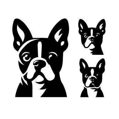 Siluet Katı Vektör Köpek Seti, Köpekler, Köpekler, Köpekler, Köpekler, Köpekler, Köpekler, Köpekler, Köpekler, Köpekler,.