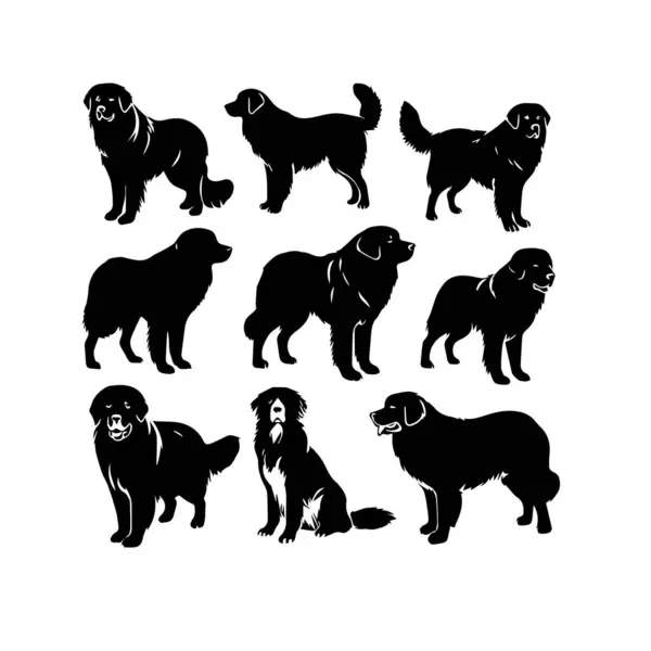 Siluet Katı Vektör Köpek Seti, Köpekler, Köpekler, Köpekler, Köpekler, Köpekler, Köpekler, Köpekler, Köpekler, Köpekler,.