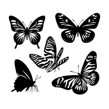 Siluet Katı Vektör Simgesi Kelebekler, Güve, Lepidopteran, Böcek, Papillon.