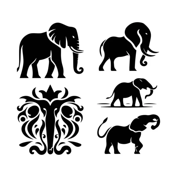 Colección Elefantes Conjunto Siluetas Vectoriales Editables Icono Varias Poses — Vector de stock