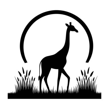 Zürafa, Camelopard, zürafa, siluet, düzenlenebilir vektör çizimi beyaz arkaplan üzerinde izole