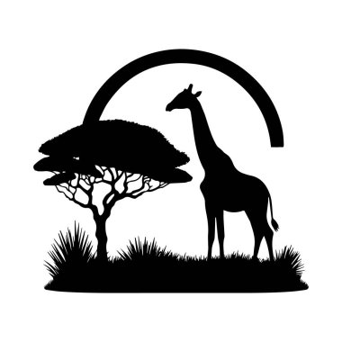 Zürafa, Camelopard, zürafa, siluet, düzenlenebilir vektör çizimi beyaz arkaplan üzerinde izole