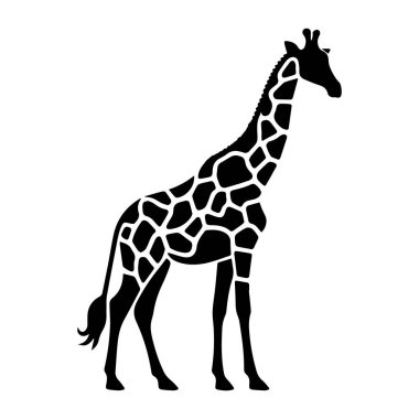 Siluet zürafa beyaz arkaplan üzerinde izole
