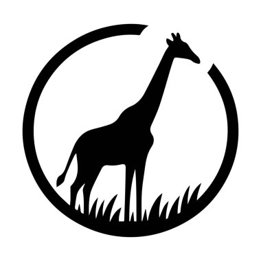 Siluet zürafa beyaz arkaplan üzerinde izole