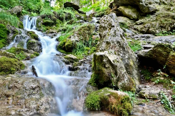 Ormanda güzel bir şelale