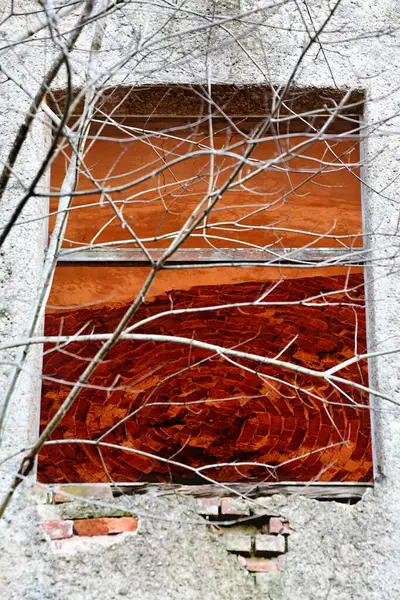 Kırmızı duvarlı eski ahşap pencere.