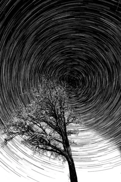 Yıldızlı ve karlı gece göğü