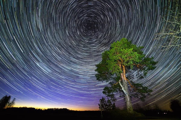 Samanyolu ve ağaçlar