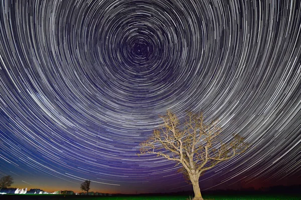 yıldızlar ve ağaçlar ile gece manzara