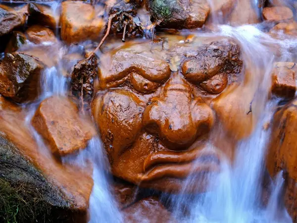 Küçük bir derede yüz şeklinde oyulmuş güzel bir taş. Yakın plan..