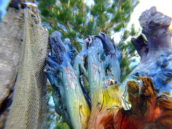 Deniz kenarında bulanık bir geçmişi olan insan yapımı bir yerin parçası. Şamanistan.