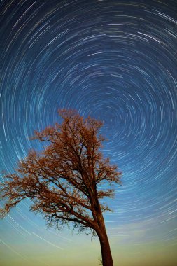 Yıldızlı ve samanyolu güzel gece gökyüzü