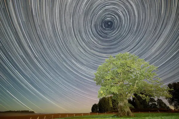 Kanepju meşesi yıldız izleri.