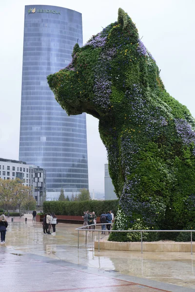 Bilbao, İspanya; 25 Kasım 2023: Puppy, Guggenheim Müzesi 'nin yanında yer alan ve en önemli özelliği çiçeklerle yaratılan köpek yavrusu heykelciğidir. Iberdrola binasını da görebiliyoruz..