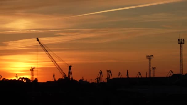 船積み現場でクレーンと機械を備えた日没空に対する産業シルエット — ストック動画