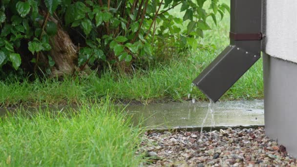 Regnvatten Rinner Från Downspout Våt Trädgårdsstig Med Grönt Gräs Och — Stockvideo
