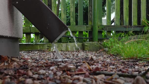 Delikatny Rytm Wody Deszczowej Płynącej Dołu Żwir Zieloną Trawą Drewnianym — Wideo stockowe