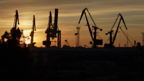 Turuncu Gökyüzü Ile Günbatımında Vinçlerin Endüstriyel Silueti — Stok video