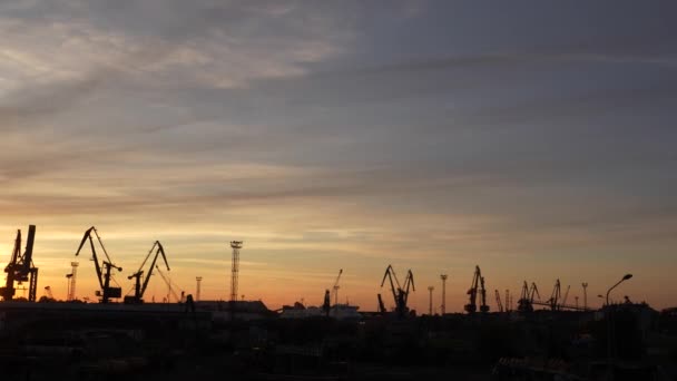 Panorama Industrial Port Silhouette Golden Hour Sunset Sky Cranes Infrastructure — Stock Video