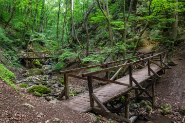 View of Dera Gorge in Pilis mountains in Hungary